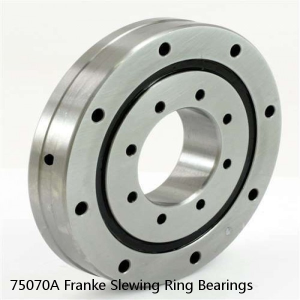 75070A Franke Slewing Ring Bearings