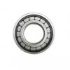 560 mm x 820 mm x 115 mm  FAG NU10/560-M1 Cylindrical roller bearings with cage