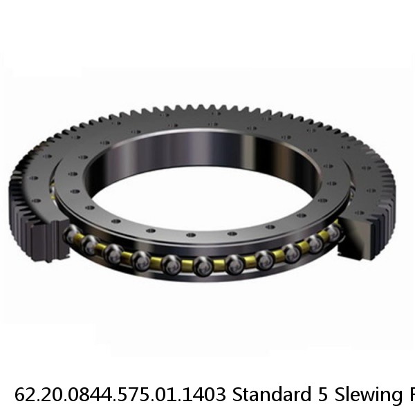 62.20.0844.575.01.1403 Standard 5 Slewing Ring Bearings #1 small image