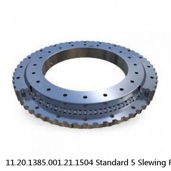 11.20.1385.001.21.1504 Standard 5 Slewing Ring Bearings #1 small image