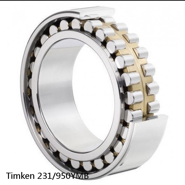 231/950YMB Timken Cylindrical Roller Radial Bearing #1 image