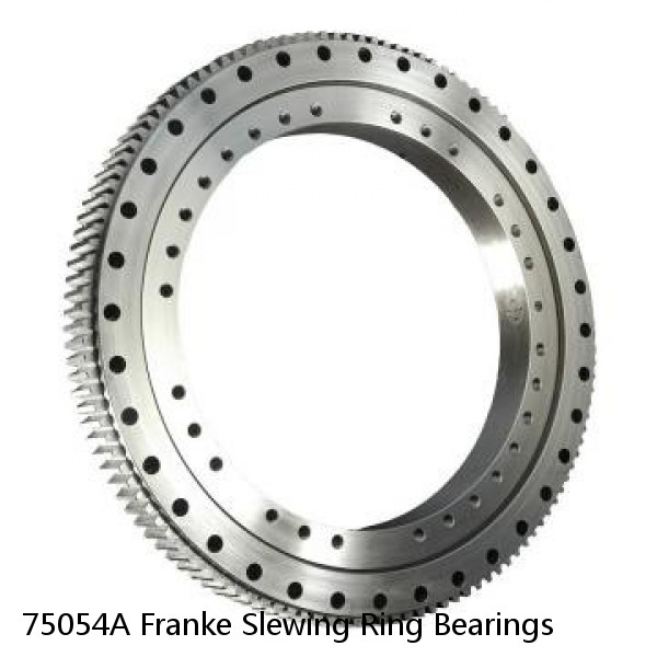 75054A Franke Slewing Ring Bearings #1 image