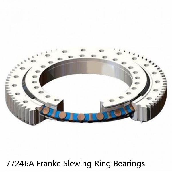 77246A Franke Slewing Ring Bearings #1 image