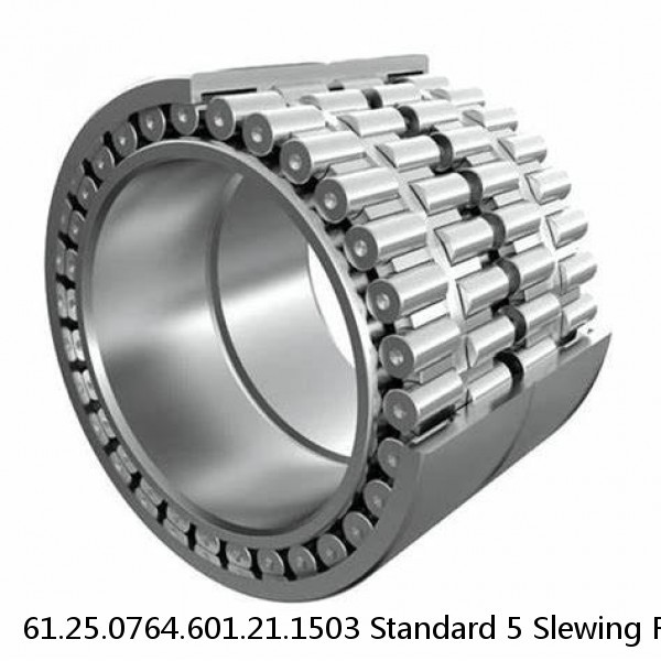 61.25.0764.601.21.1503 Standard 5 Slewing Ring Bearings #1 image