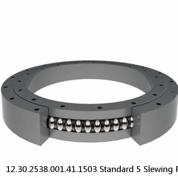 12.30.2538.001.41.1503 Standard 5 Slewing Ring Bearings #1 image