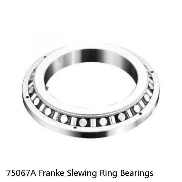 75067A Franke Slewing Ring Bearings #1 image