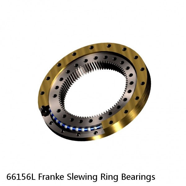 66156L Franke Slewing Ring Bearings #1 image