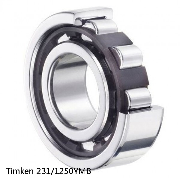 231/1250YMB Timken Cylindrical Roller Radial Bearing #1 image