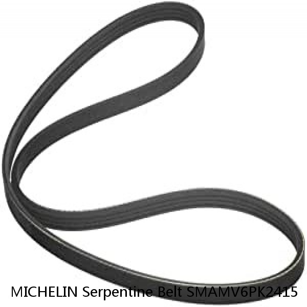 MICHELIN Serpentine Belt SMAMV6PK2415 #1 image