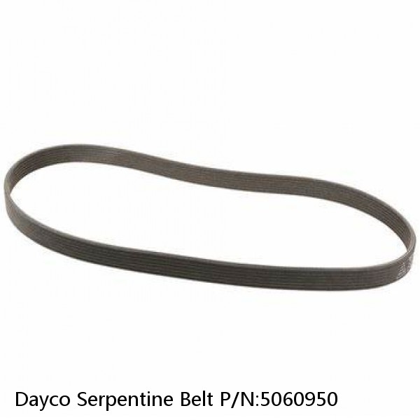 Dayco Serpentine Belt P/N:5060950 #1 image