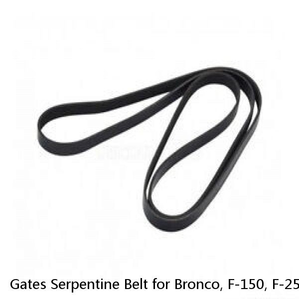Gates Serpentine Belt for Bronco, F-150, F-250, F-350, F-200 K060910HD #1 image