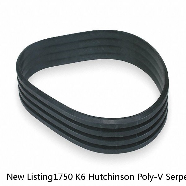 New Listing1750 K6 Hutchinson Poly-V Serpentine Belt Free Shipping Free Returns 6PK 1750 #1 image